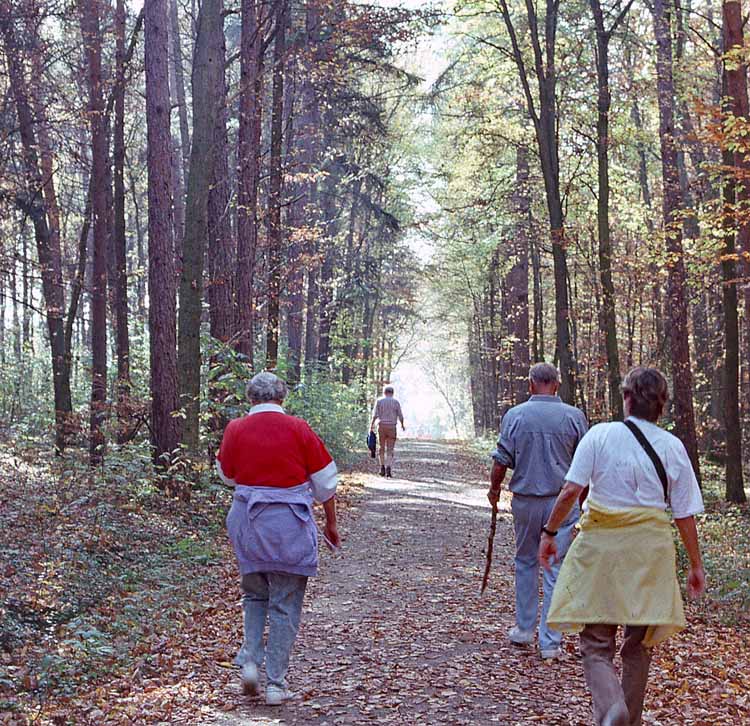 volksmarch path
